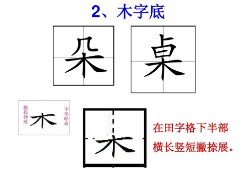 木部首的字有哪些|木字旁的字